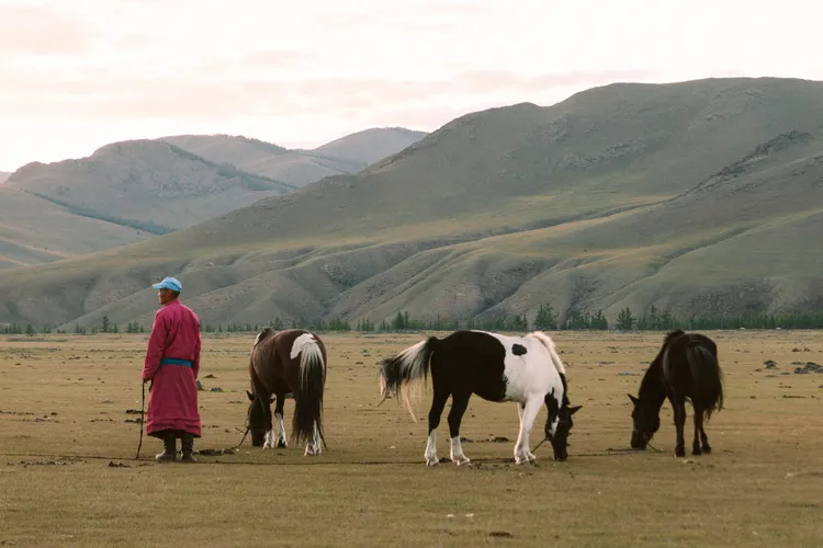 Mongolie — pour retrouver la sensation d’espace