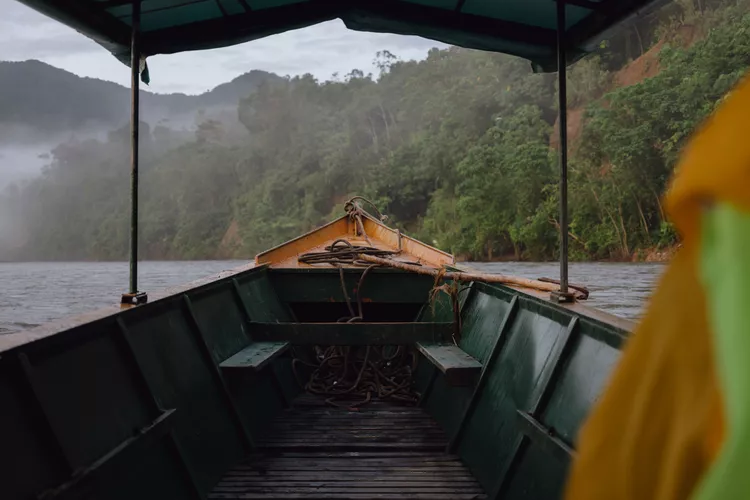 Amazonie