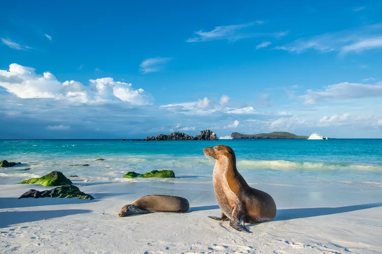 Îles Galápagos, Équateur